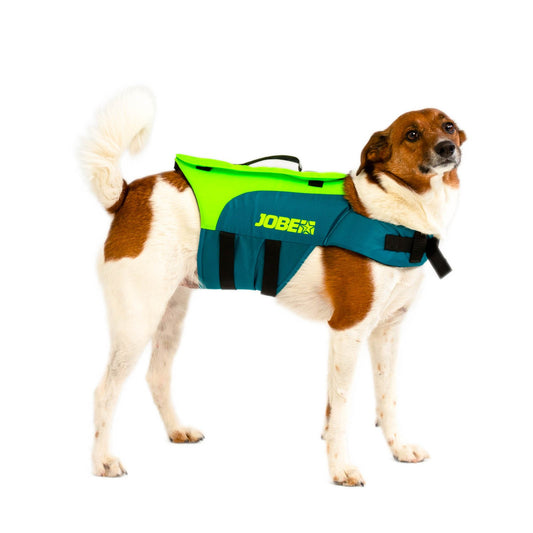 Jobe Pet Vest Lime Teal - Pets Vests