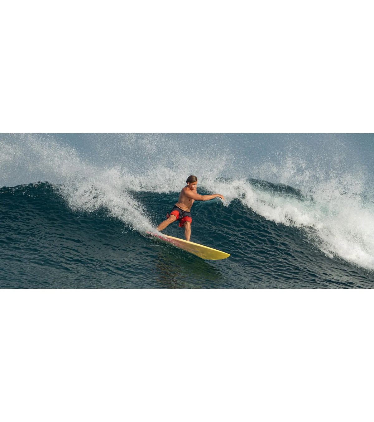 Code Best Fish Forever EPS - Futures - 3 Fin - Sunrise