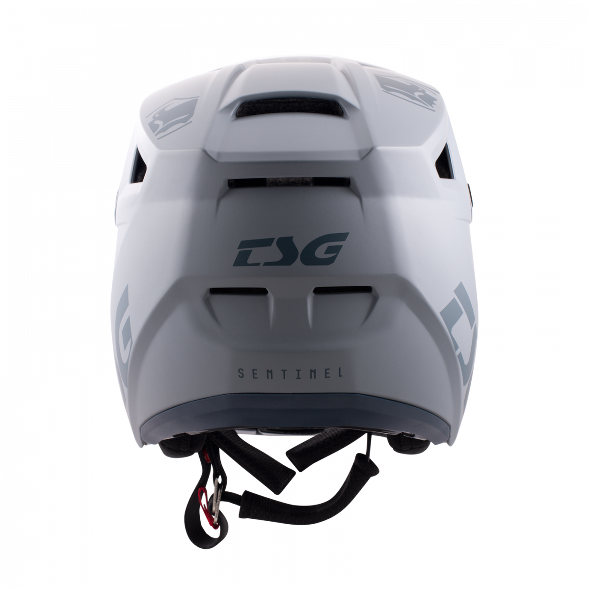 TSG SENTINEL Fullface Helmet - Helmets