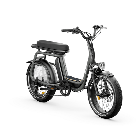 Ritmic DUO 2-Seat Cargo - E-Bikes