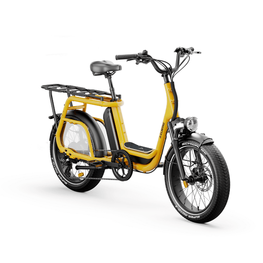 Ritmic JUMBO Longtail Cargo - E-Bikes