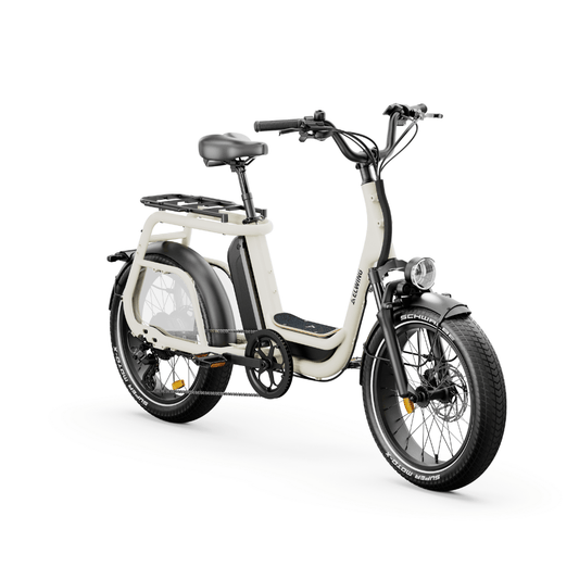 Ritmic SOLO Compact Cargo - E-Bikes