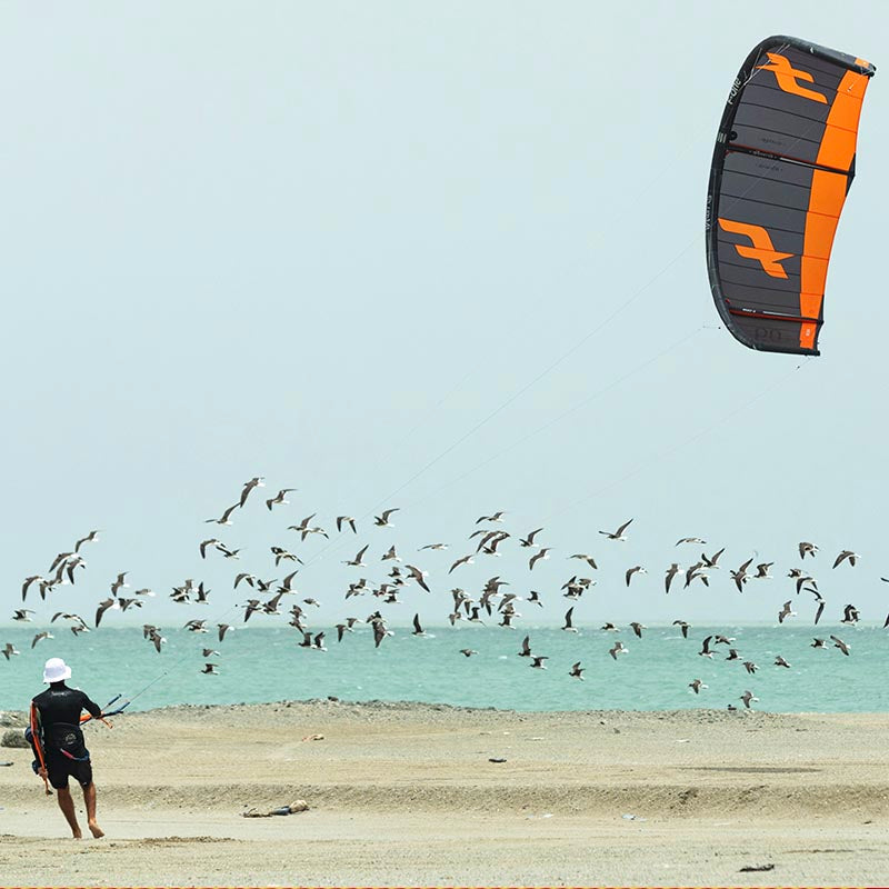 F-One BANDIT XVI - Kites
