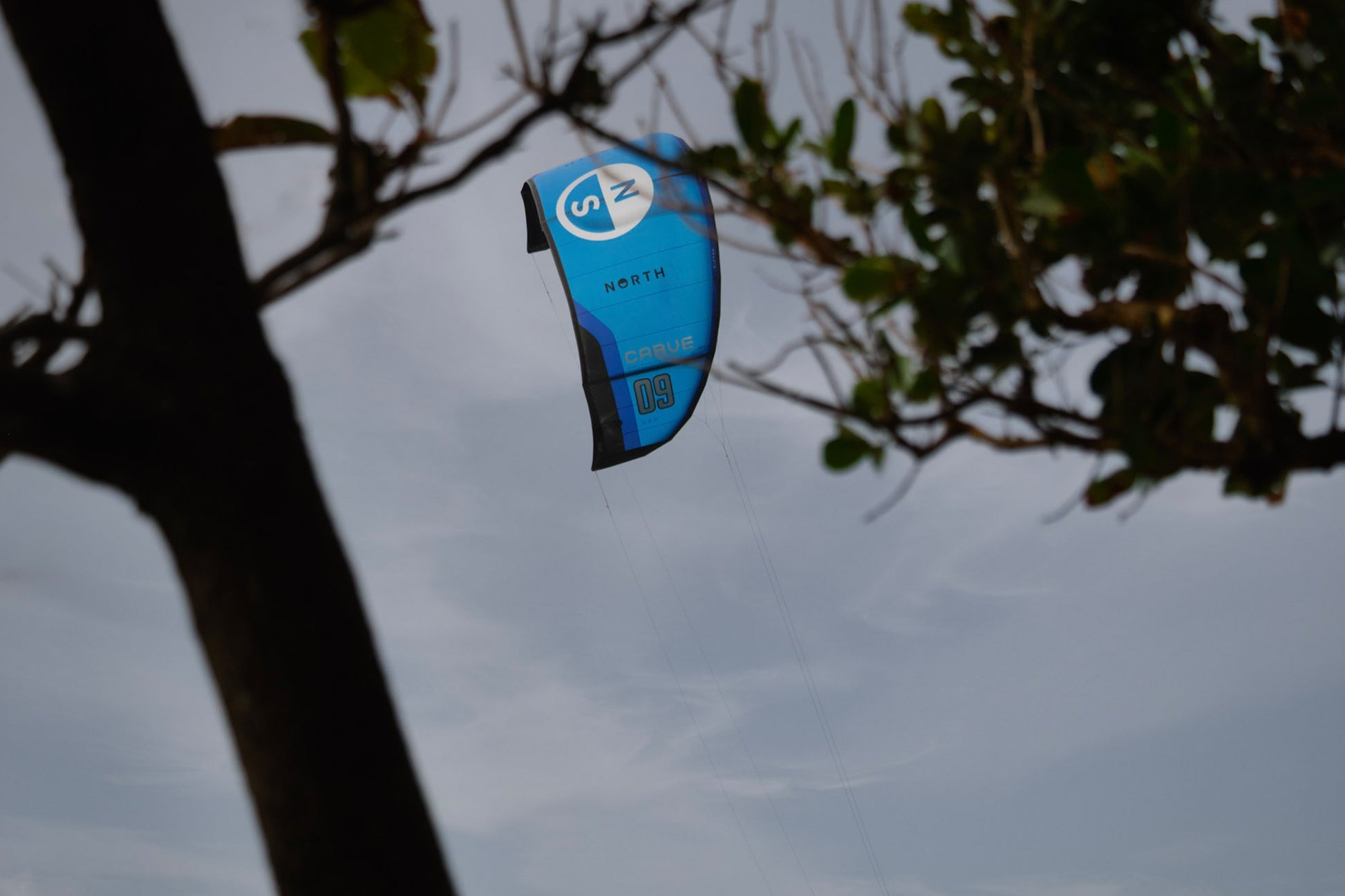 North Carve Kite | 25 - Kites