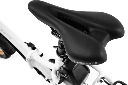 Platum AREGNTO PLUMA-S 250w 36v - Electric Bike - E-Bikes