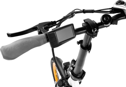Platum AREGNTO PLUMA-S 250w 36v - Electric Bike - E-Bikes
