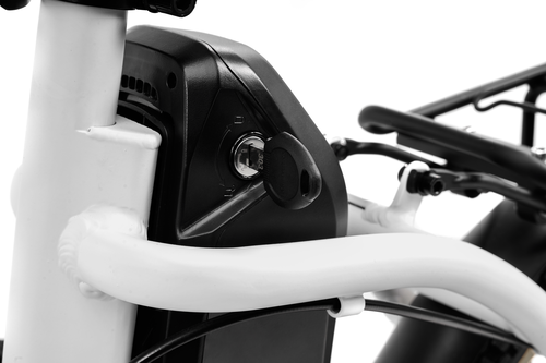 Platum AREGNTO PLUMA-S 250w 36v - Electric Bike - E-Bikes