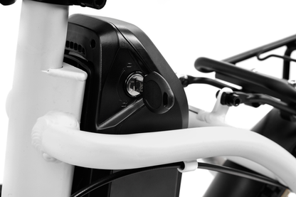 Platum AREGNTO PLUMA-S 250w 36v - Electric Bike - E-Bikes
