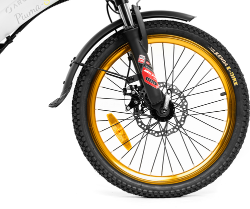 Platum AREGNTO PLUMA-S 250w 36v - Electric Bike - E-Bikes