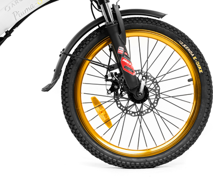Platum AREGNTO PLUMA-S 250w 36v - Electric Bike - E-Bikes