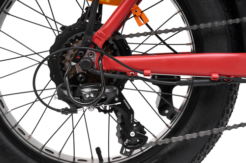 Platum JEEP PHEONIX 250w 36v - Electric Bike - E-Bikes