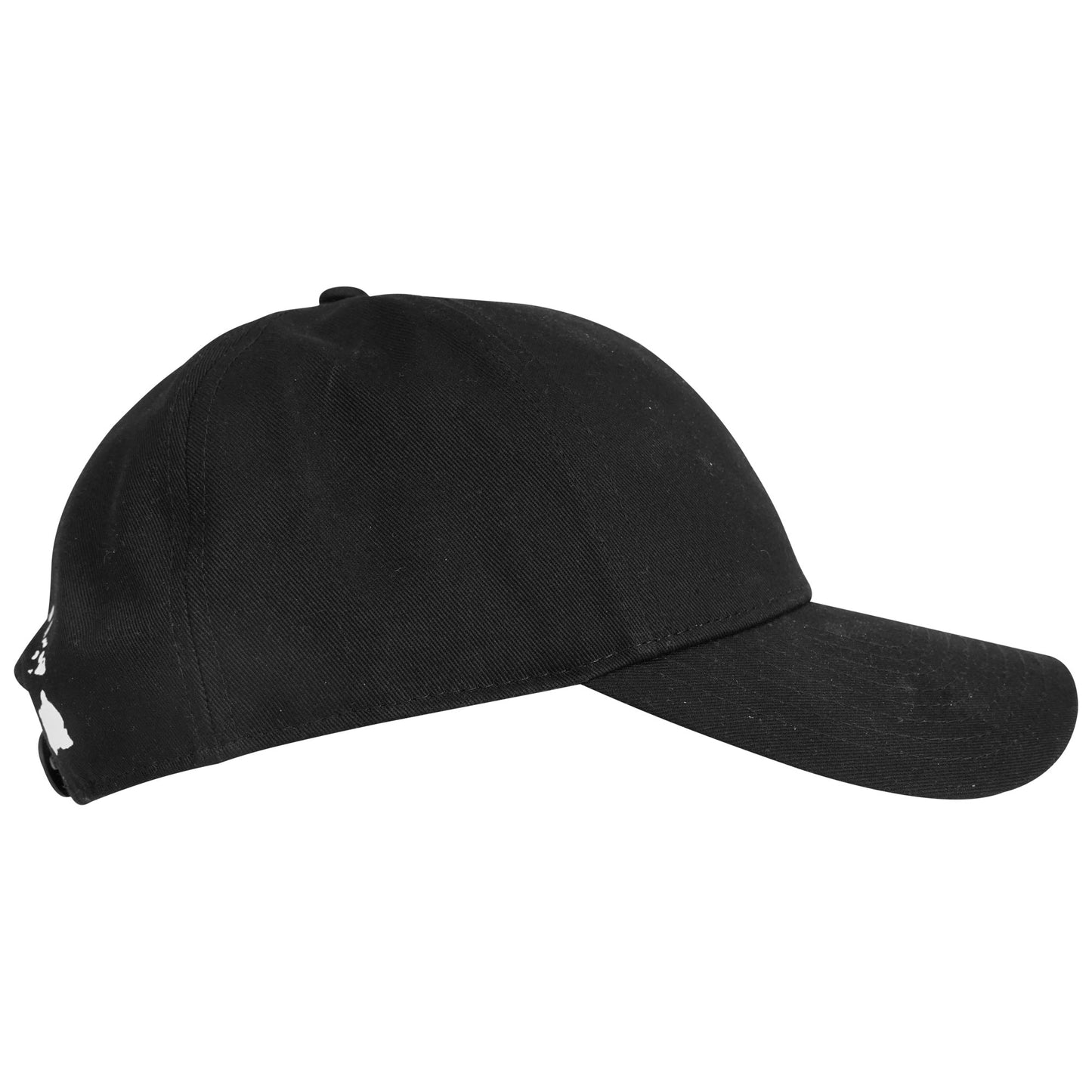 Naish Cap Straight Snapback - Caps