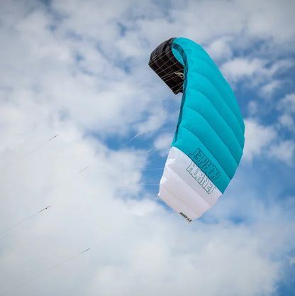 Peter Lynn HORNET Complete 4 lines - Kite 4 Lines