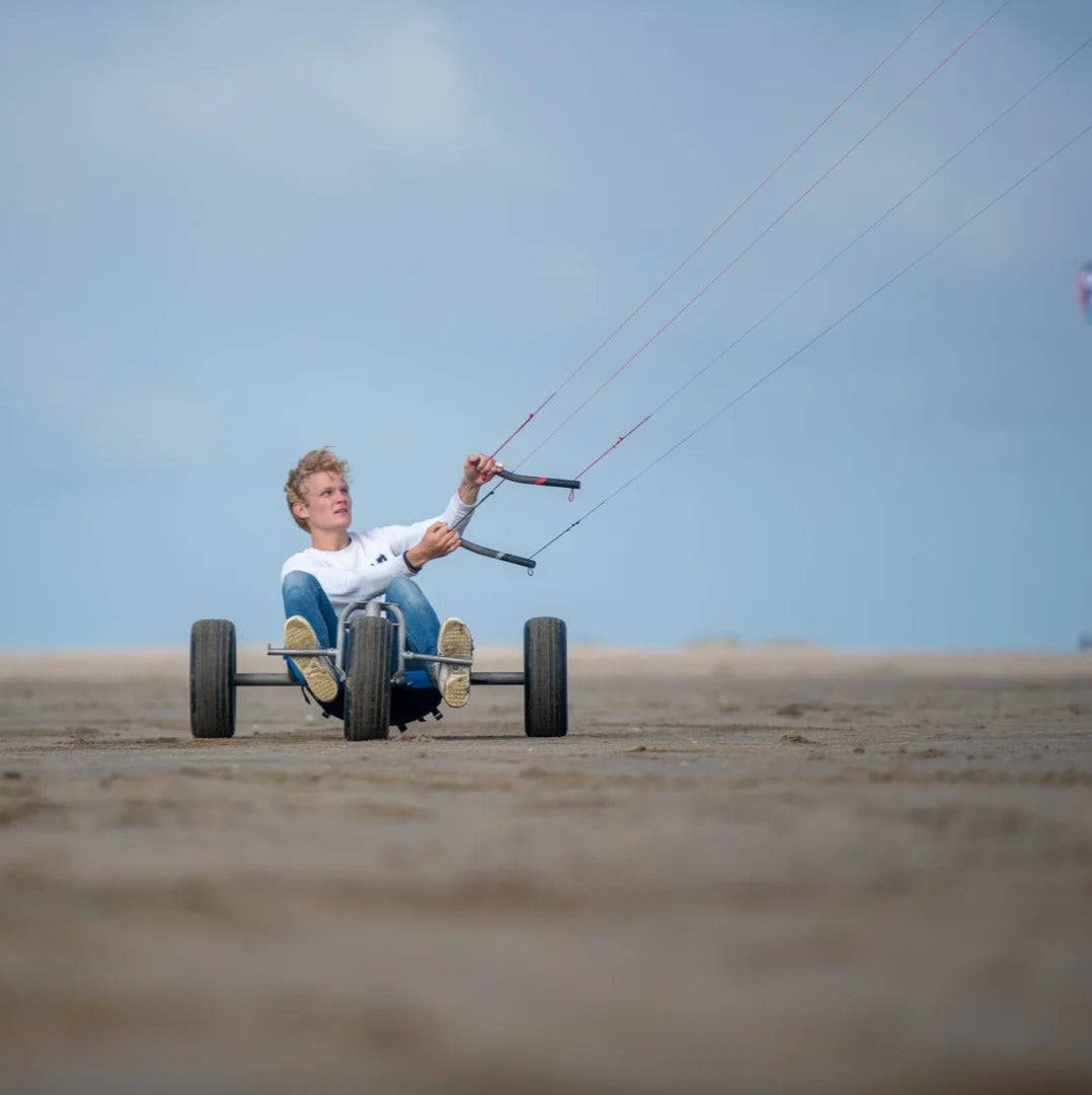 Peter Lynn HORNET Complete 4 lines - Kite 4 Lines