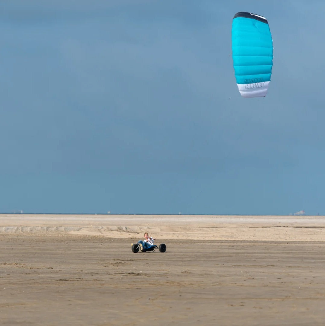 Peter Lynn HORNET Complete 4 lines - Kite 4 Lines
