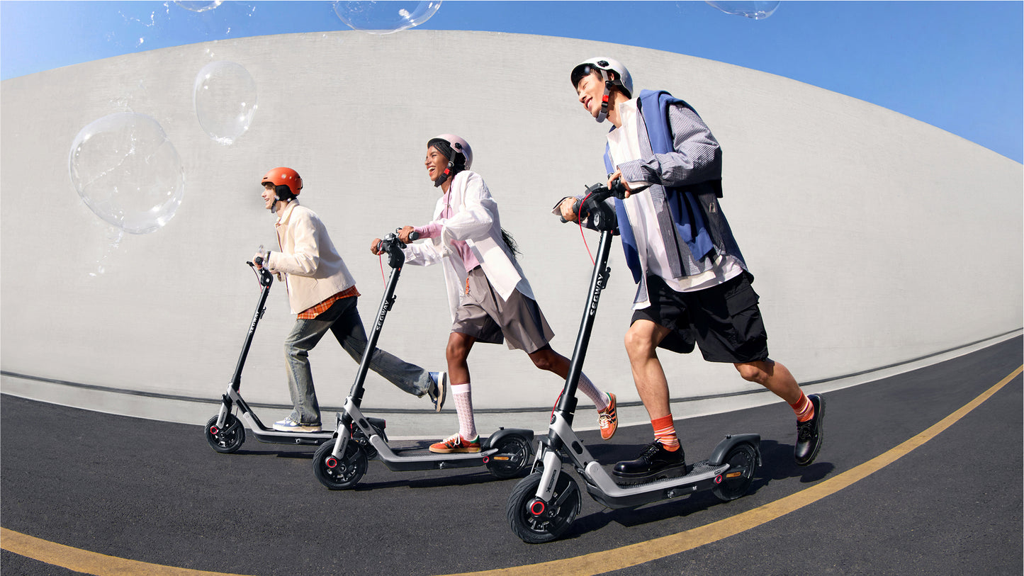 Segway Ninebot E3 PRO E Scooter 800w 36v - E-Steps