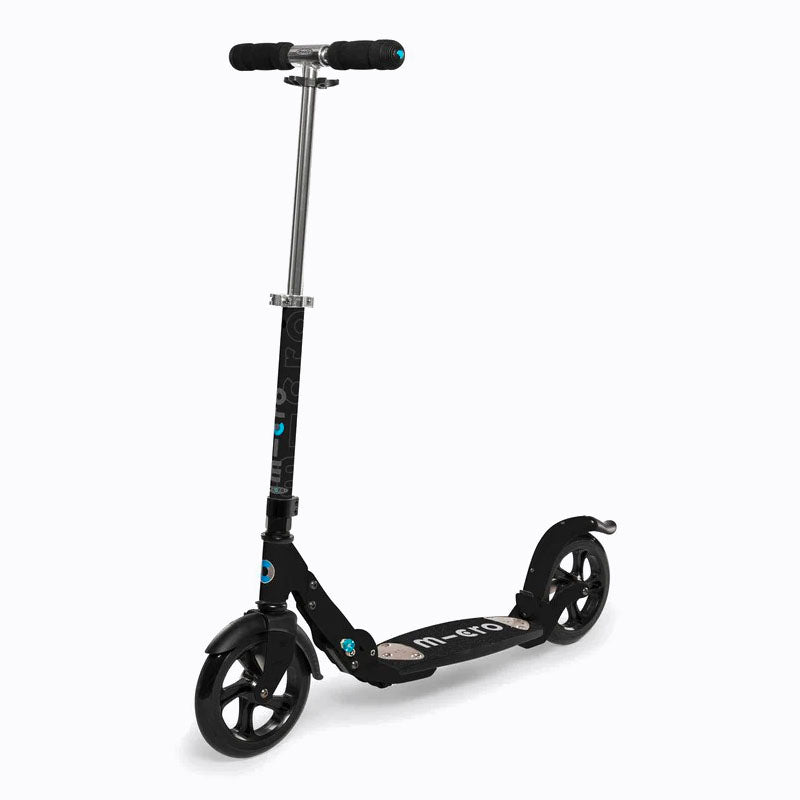 Micro FLEX 200 - 2 Wheel Steps