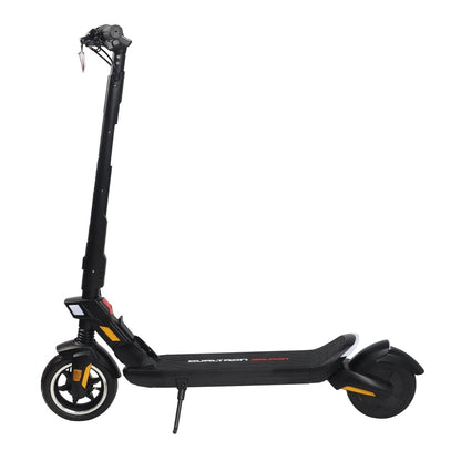 Dualtron DOLPHIN 450w 36v 7.8Ah USED - E-Steps
