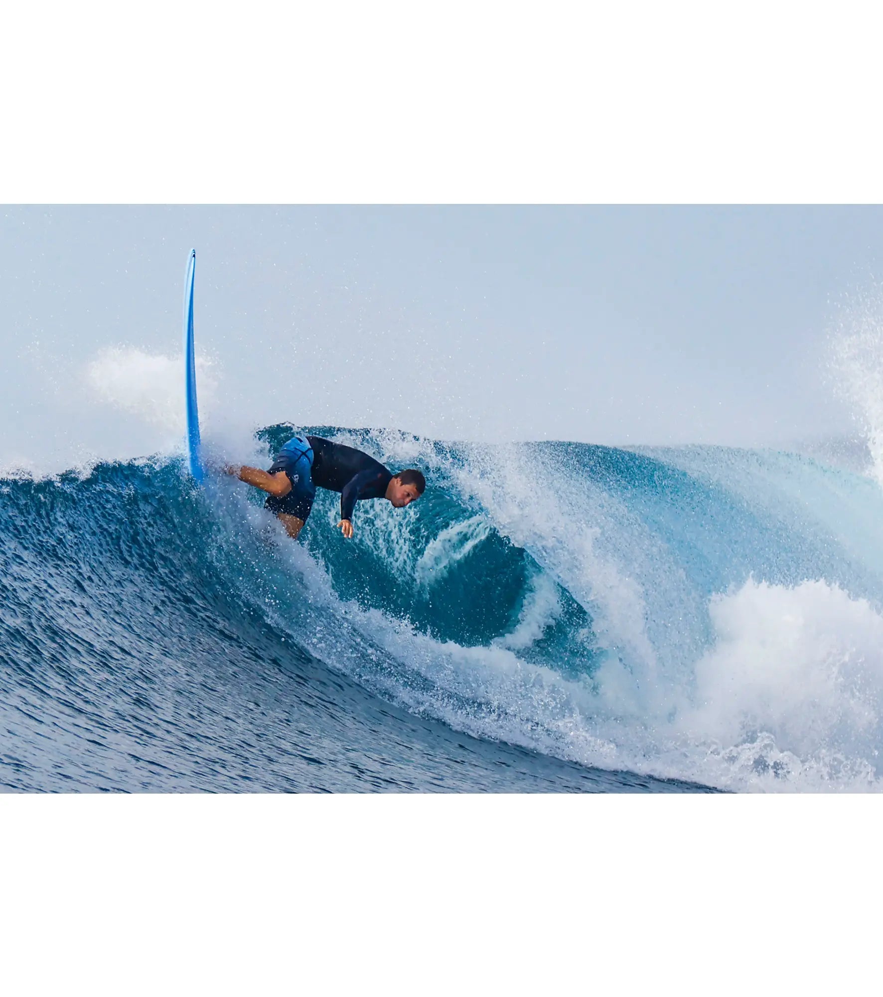 Torq The Don HP ACT - Futures - 4 + 1 Fin - Long Boards