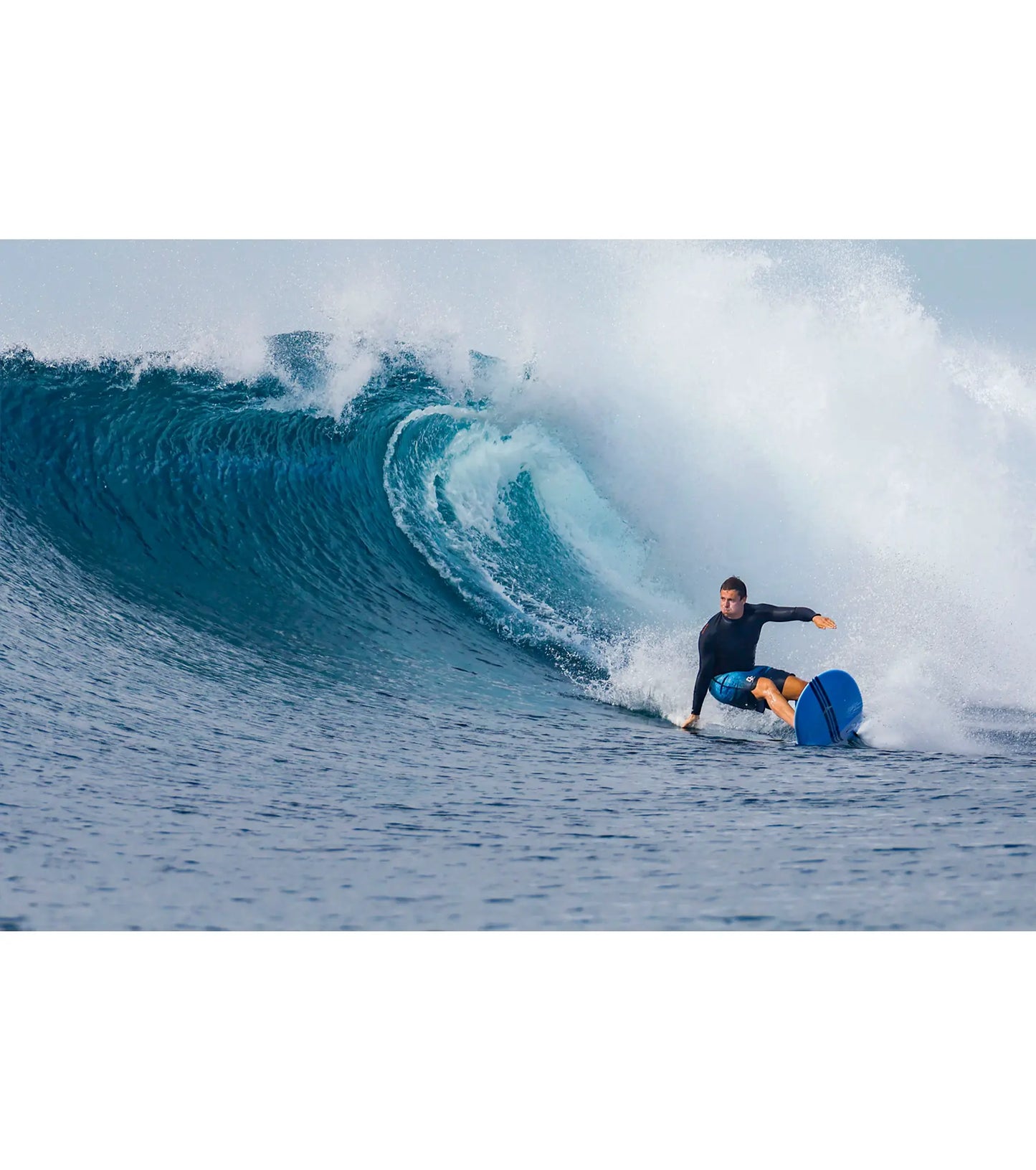 Torq The Don HP ACT - Futures - 4 + 1 Fin - Long Boards