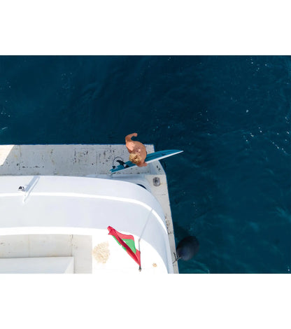 Channel Islands Pod Mod - Al Merrick - X-Lite - Futures - 5 Fin - End of Range