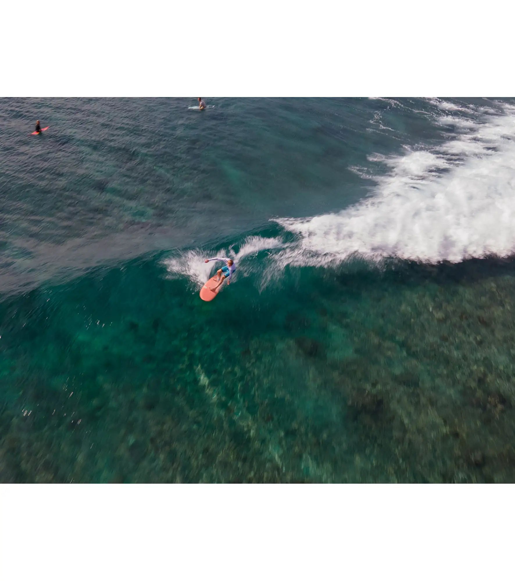 Torq Mod Fish TET - Futures - 5 Fin - Short Boards