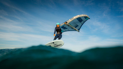 Flysurfer AVID Wing