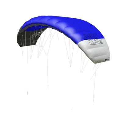 Peter Lynn HORNET Complete 4 lines - Kite 4 Lines