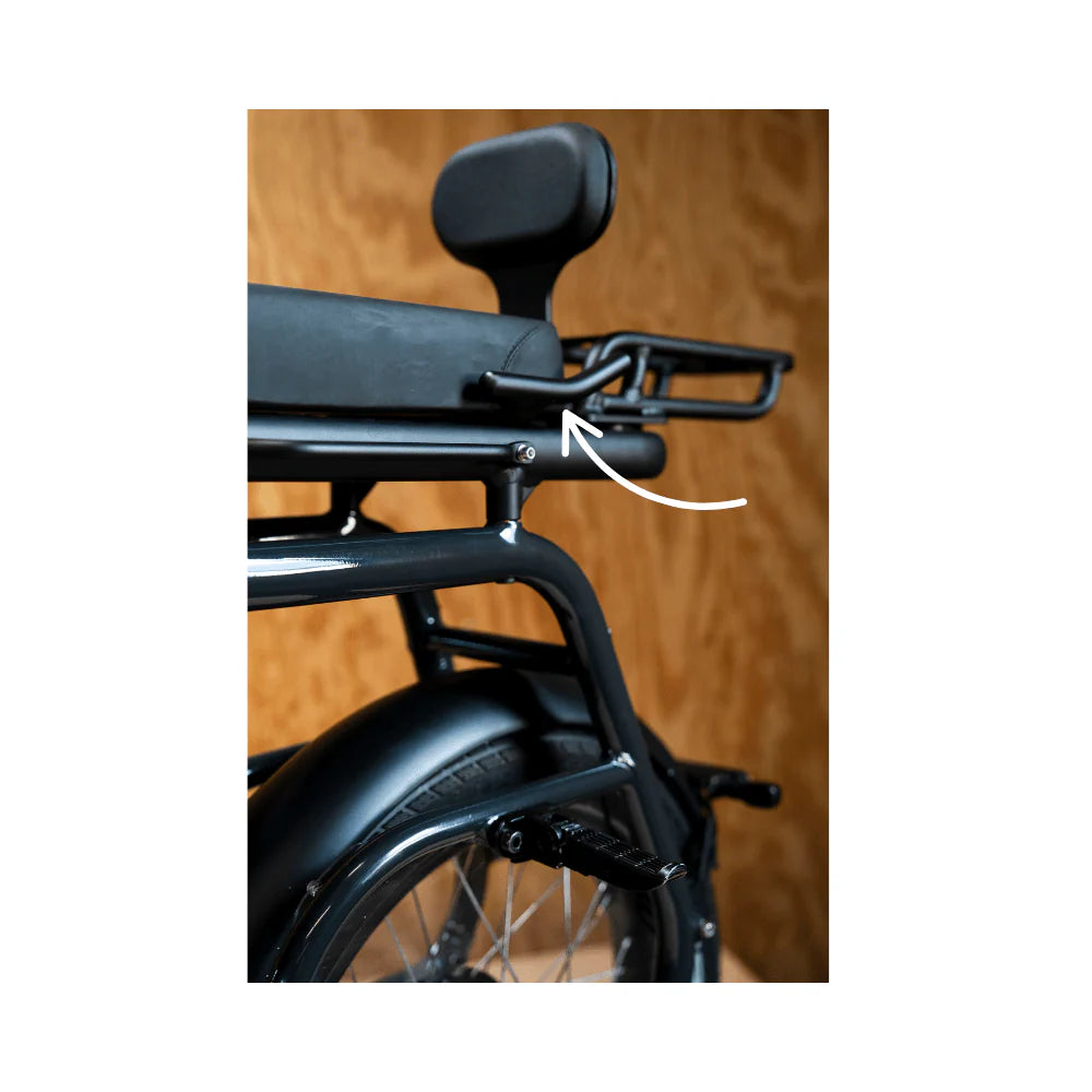 Ritmic Duo Passenger Handle - Passenger Handles