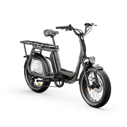 Ritmic JUMBO Longtail Cargo - E-Bikes