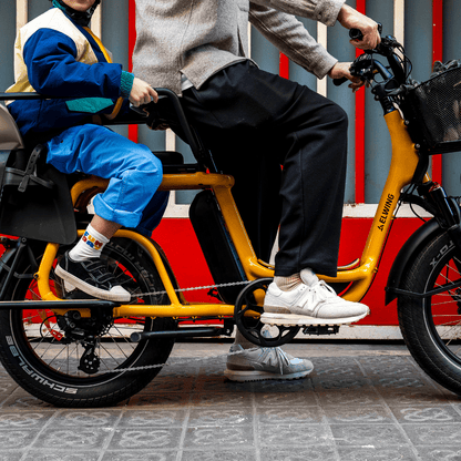 Ritmic JUMBO Longtail Cargo - E-Bikes