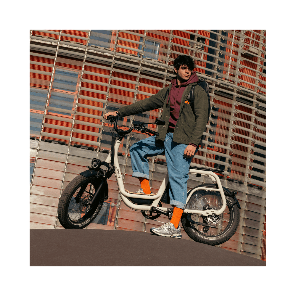 Ritmic SOLO Compact Cargo - E-Bikes