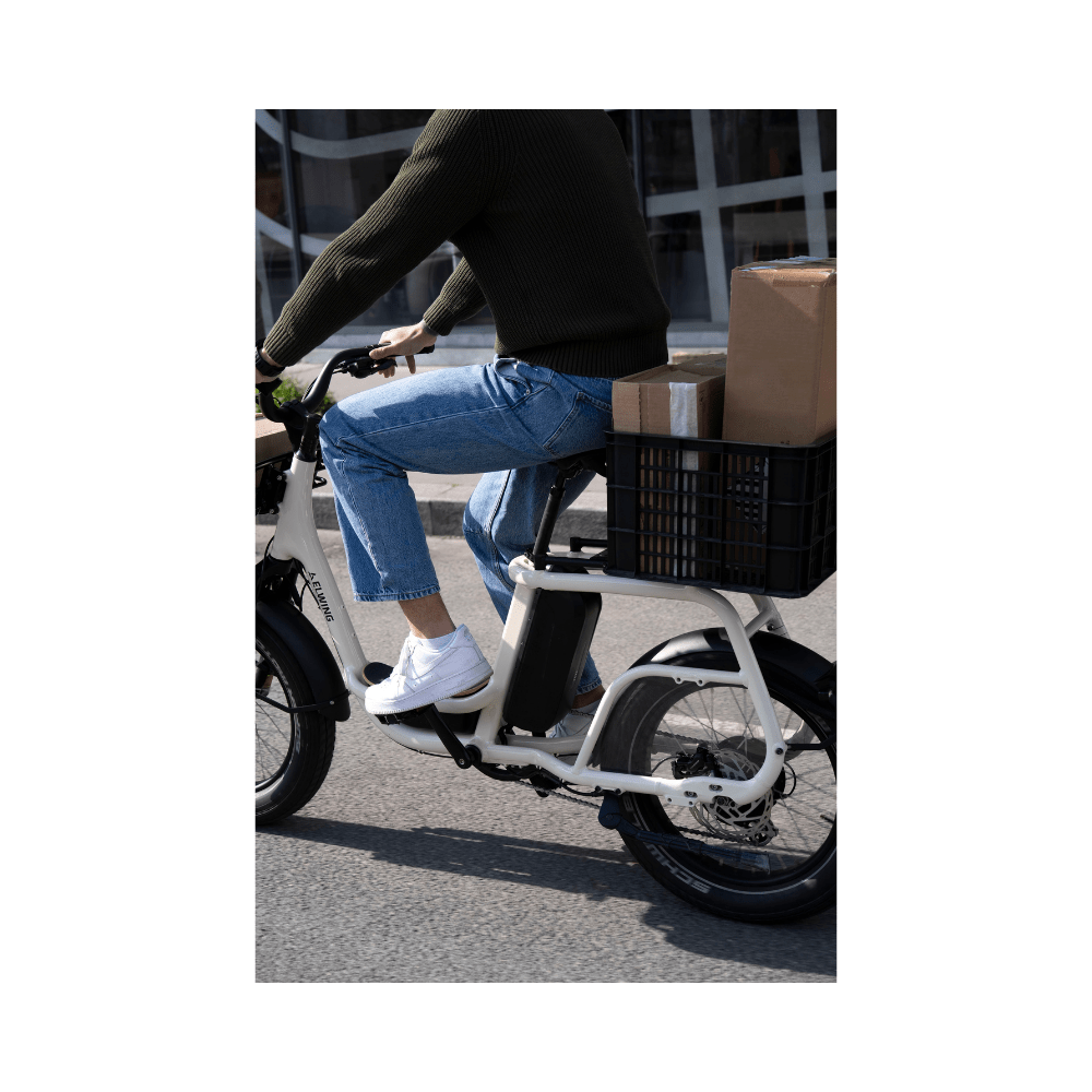Ritmic SOLO Compact Cargo - E-Bikes