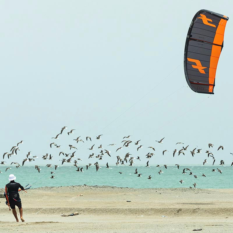 F-One BANDIT XVI - Kites