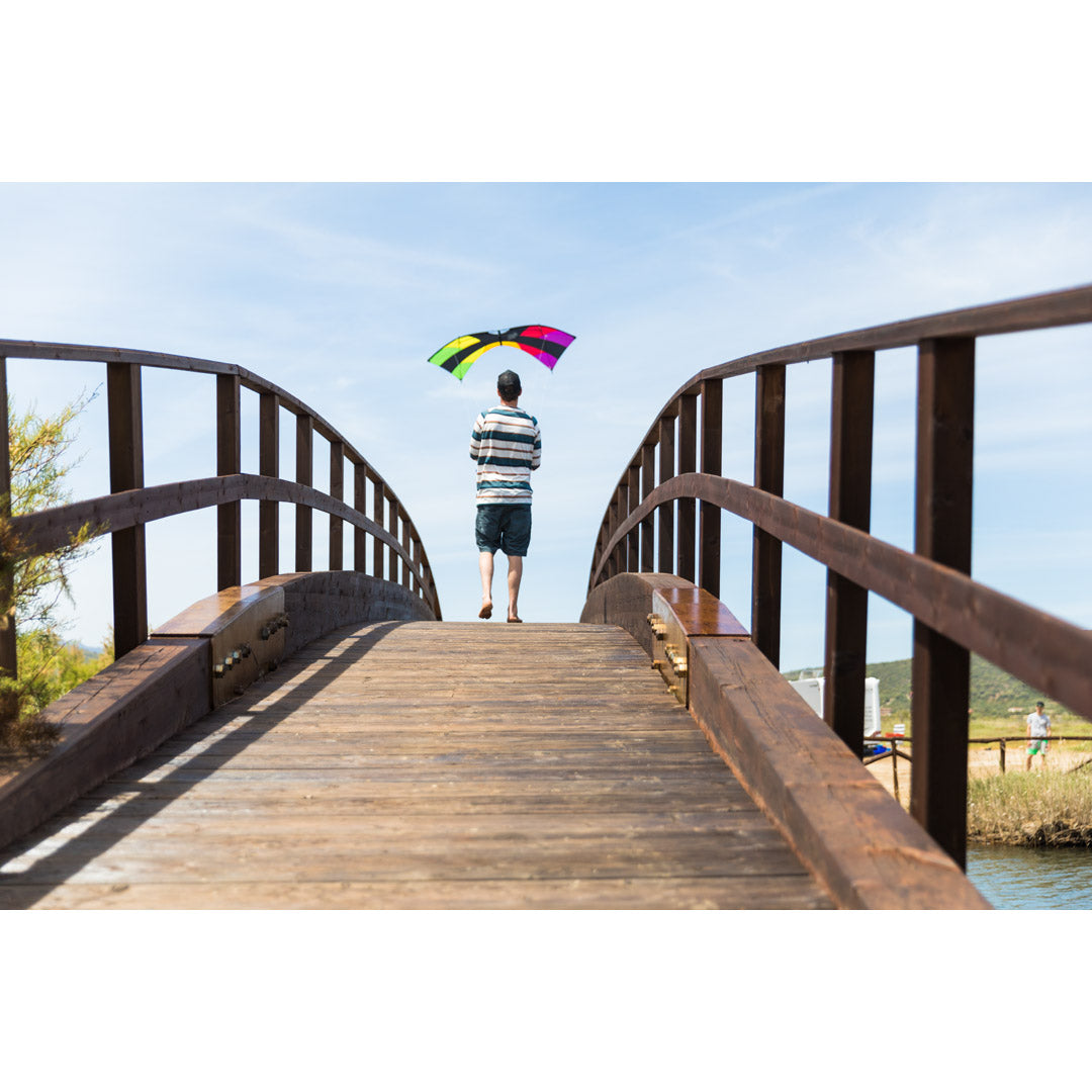 HQ-kites HQ Mojo Rainbow R2F - Acrobatic